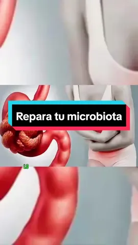 La mejor Tecnología Epigenética para fortalecer tu función neurointestinal  #tiktokvideo #linqactivz #tecnologiaepigenetica #combustiblecelular🧬 #viral #parati #fyp #foryoupage #peru #epigenetica #peru #mexico #venezuela #colombia 