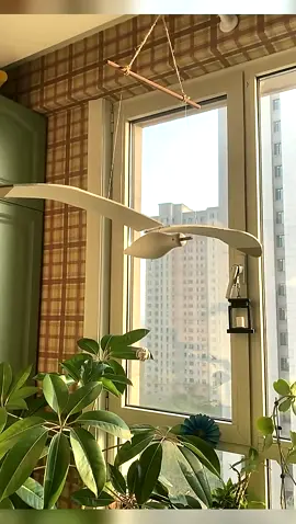 Decorative Flying Balancing Seagull Pendant on the Windowsill🤩#soothing #relaxing #decoration #DIY #diyproject #springfestival2024 #giftideas 