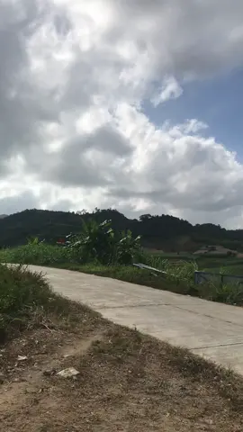 #xuhuongtiktok xe mọi người hạ bao nhiu phân🥰#satria150fi_độ_kiểng 