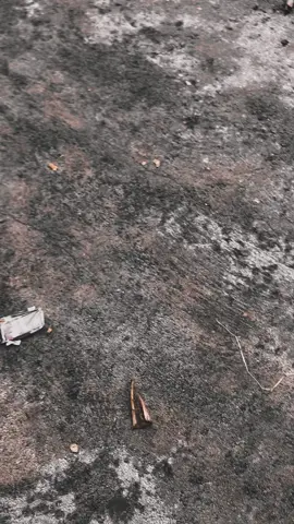 soree asikk🤙🤙#fyp #mio #bismillahfyp 