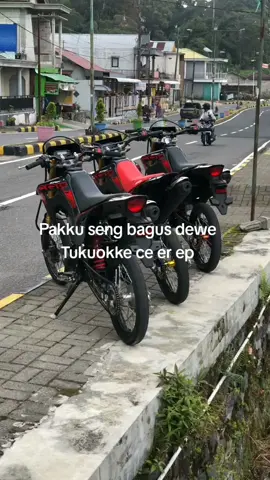 #supermotoherex #crf150supermoto #crfsurex #herexjatim #hondacrf #surex #masukberanda #xyzbca #4u #zmn14 #fypシ 