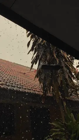 Setenang ini vibes hujan #fyp #storytime #hujan #vibeshujan #ponorogo #hujansore #fypシ゚viral 
