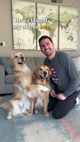 How I taught my dogs hug 💛
