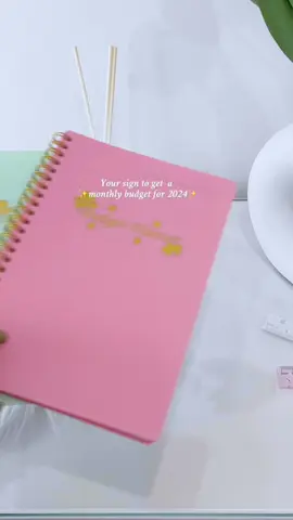 🎆Start to write 2024 budget!! With this monthly budget planner!! #budgetplanner #monthlyplanner #2024budget #newyear #spotlight #tiktokmademebuyit  #festivesale #thatgirl #fyp #viral #ValentinesDay #valentinesdaygift #valentinesale #festivesale #tiktokmademebuyit #giftideasforher #spotlight 