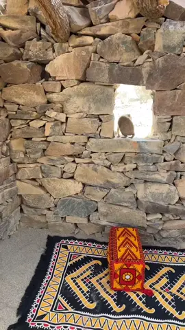 #وبران_ارانب_قهد_حجل_الجنوب_اذكرو_الله_القطا 