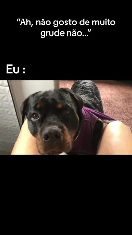 “Eu só fui ver se estava tudo bem” 😂🤌🏻🦍.  #rottweiler #dogsoftiktok #dog #cute #Love #viral #foryou #fy #funny #fun 