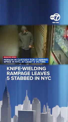 Police have taken a person of interest into custody in connection to a stabbing spree in Queens, sources tell Eyewitness News. It came within an hour of an NYPD news conference Wednesday evening when they linked a man to several unprovoked stabbings within the past nine days. Police say the assailant is suspected of randomly stabbing four people with a hunting knife in Queens the past two days, and a total of five since Jan. 8, according to police, and they are investigating whether the same person might be responsible for a separate subway stabbing in Brooklyn. Three of the stabbings took place on Wednesday. The first two stabbings were back-to-back attacks at 7:30 a.m. and 7:35 a.m. at 134th Avenue and 161st Street. A 74-year-old man was stabbed in the lower abdomen while escorting his wife to work. The suspect then ran to 161st Street where he stabbed a 41-year-old man in the back while he was leaving his residence to move his car. Both victims were taken to Jamaica Hospital and are expected to survive. The third attack happened about 25 minutes later at Parsons Boulevard and Archer Avenue. The 36-year-old victim was on his way to work when he boarded an MTA bus and sat next to the suspect. The victim and suspect then got into a verbal dispute over a seat. Police say they both exited the bus at Parsons Boulevard and Archer Avenue, where the suspect stabbed the victim once and fled on foot. The suspect was described as a man wearing a black jacket with a green hoodie, black pants, black Adidas sneakers with white stripes, and a grey winter mask. Police passed out flyers with a terrifying photo of the man carrying a butcher knife. They also released a video of the man nervously pacing on a street in Springfield Gardens. Police believe the attacker is behind at least two other attacks in recent days, also in the same neighborhood of Springfield Gardens. [Ads /] Authorities believe the same suspect is responsible for stabbing a 34-year-old woman who was walking home from work just after midnight on Tuesday near 158th Street & 134th Avenue. The woman was taken to the hospital and was said to be stable. Police are also linking the suspect to a fifth incident on Jan. 8 where a 61-year-old man was stabbed in the lower back at the intersection of 157th Street and 137th Avenue. The man was taken to the hospital and was said to be stable. Meanwhile, the NYPD flooded officers into the subway system on Wednesday following the attacks. They are also looking into whether that same suspect may have stabbed a man on the subway in Brooklyn hours later, based on similar descriptions. A 28-year-old man was riding a northbound J subway train when a man walked up to him and stabbed him in the abdomen in an unprovoked attack around 9:45 a.m. Wednesday. The suspect got off the subway system at Flushing Avenue station and the victim got off at the Myrtle Avenue station. The victim's injuries were not believed to be life-threatening. The Chief of Detectives put a warning out on social media about the suspect. #nyc #news 