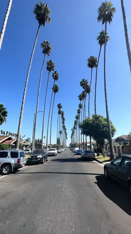 When you watch too much Snowfall 🌴  #snowfall #franklinsaint #california #inglewood #snowfallfx #franklin 