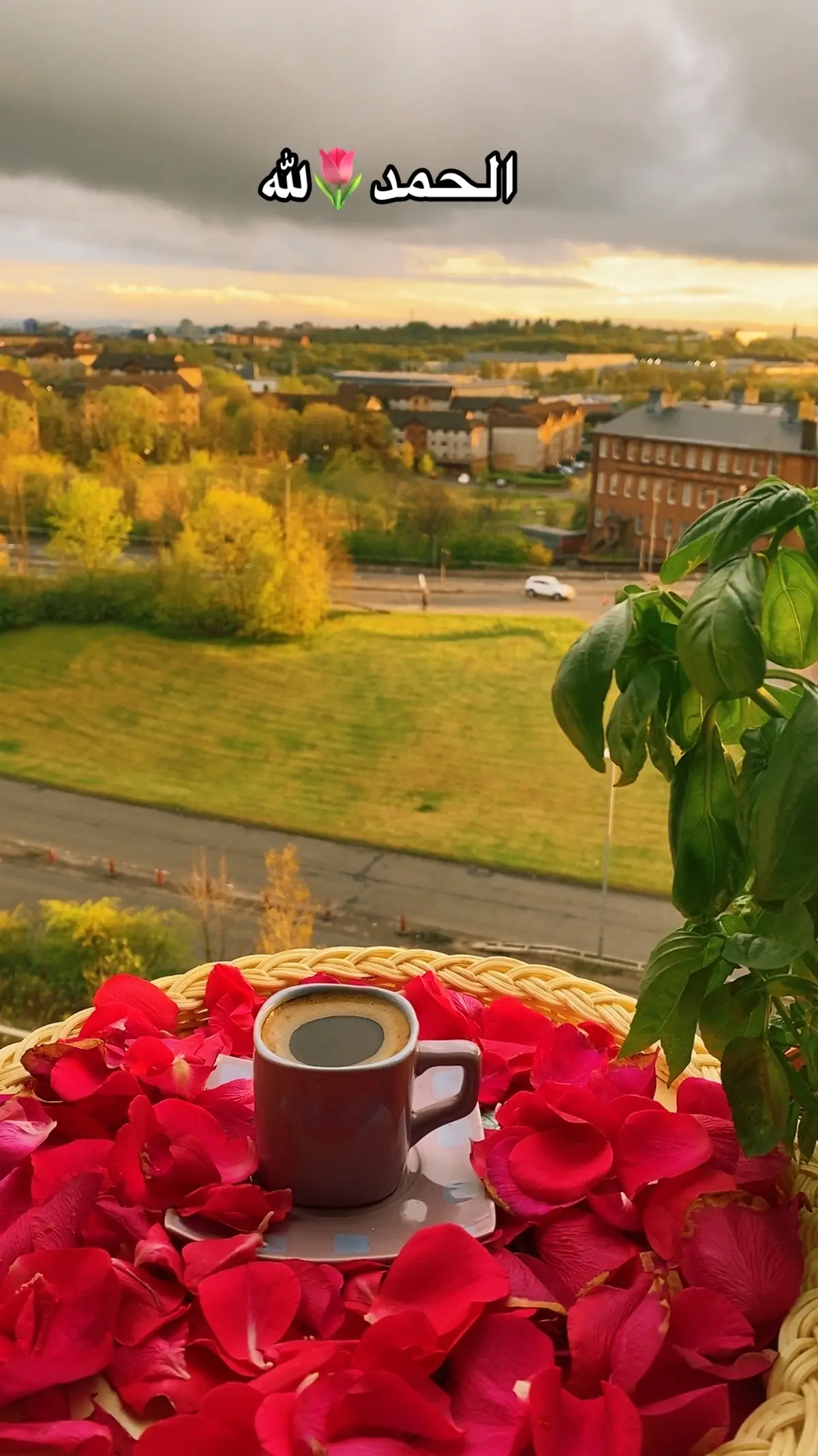 امسينا#وامس 🌹🍃الملك#للة#: لا اله إلا الله وحده لا شريك له #لة#الملك وله الحمد# يحيي ويميت وهو على كل شيء قدير#اكسبلورexplore 🤍🖤