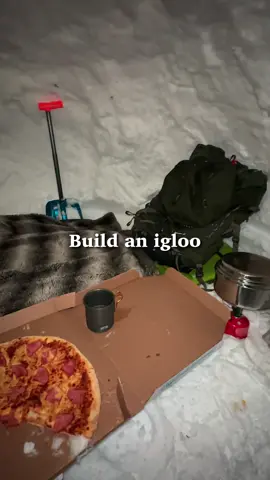 Free housing when it snows 🧊 #igloo #igloos #winterincanada 