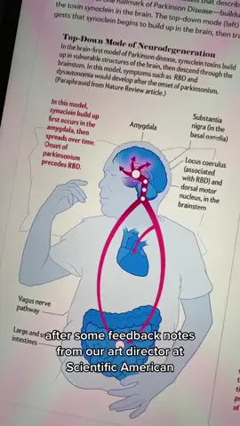 #onthisday #medicalillustration #medart #sciart #artandanatomy #illustration 