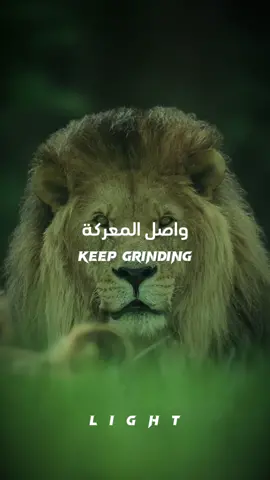 Keep grinding . . #تحفيز_ذات #تحفيز #تحفيزي #الجزائر #وهران #تلمسان #تعلم #حكمه_وعبره #أقوال_تحفيزية #fypage #fyp #motivation #motivational #short #light 