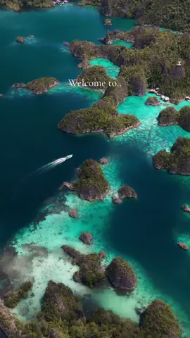 Welcome to.. 🐬💙 #rajaampat#travel#explore #ocean#coralreef#sailing#diving#snorkeling#turtle#shark#coral#indonesia#boat#bluewater#clearwater
