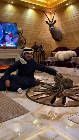 ⚠️fully trained cheetah nobody was in danger everyone was safe no one was hurt⚠️ #fyp #foryou #fatabz #viral #اكسبلور 