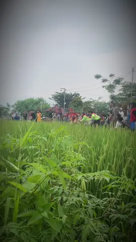 ☝🏻#sankenbf #merpatisprint #merpatibalapindonesia #merpatibalapjombang #merpatibalap #merpati_sprint #ppmbsi #ppmbsi_jatim #fyppage 