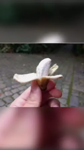 Funny construction fails! #constructionfails #constructionhumor 