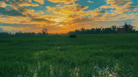 “Gửi bạn một chút hơi ấm buổi sáng…”🤗 #chill #chillmoingay #chillmusci #binhminh #nvdong #xuhuong2024 