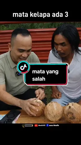 Membalas @idealis92 yang mana satu yang bisa di lubagin #asahotak #idealis92 #fyp #nesxidealis #asahi 