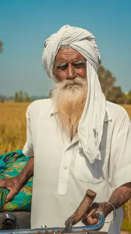 Punjab 🌾 #punjab #CapCut #internationalstudents #internationalstudent #canadavisa #immigrationnews #brampton #canadastudyvisa #brampton #canadastudyvisa #studentslife #sheridan #canadapunjabi #viral 