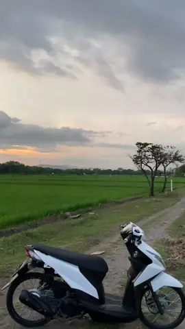 yakin gak pengen r17🤪#fyp #foryourpage #ring17style #beatring17 #beatputih 