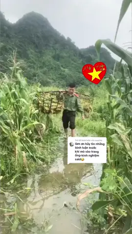 Trả lời @nnpt96 sáng nay em lên nương thay mẹ ^ em gánh lúa nhưng có ai muốn ăn ngô thì hú em để em mua về bán lại cho 😁😁 🫡🫡#tuhaonguoilinh #cand #vinhandanphucvu #khaihuyen #toiyeuvietnam #xuhuong #xuhuongtiktok #ThanhThoiLuotTet 