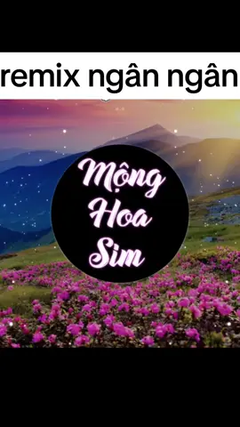 #giaitrihangngay #amnhacvacamxuc #hoka 