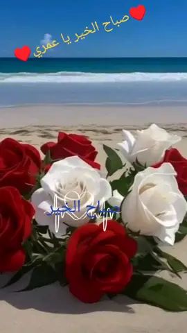 #صباح #يا #حبيبي #قلبي #♥️♥️♥️♥️🥰 #🥰 #MNW #🍁🌹🍁🥀👍😍😘🌹🍁🥀♥️🥀🍁🌹♥️🥀🍁 #🥰🥰🥰 #😘😘😘 ##💞💞 #💞💞💞💞💞💞💞💞💞💞 #@👑نجمة في سمائي 👑 #@✌(◕‿-)✌أَّّسُيّــِّّنہِأِِّتًّ #@✌(◕‿-)✌أَّّسُيّــِّّنہِأِِّتًّ #💞 💞 