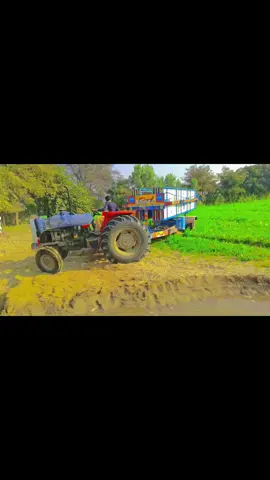 #foryou #viral #viralvideo #fyp 