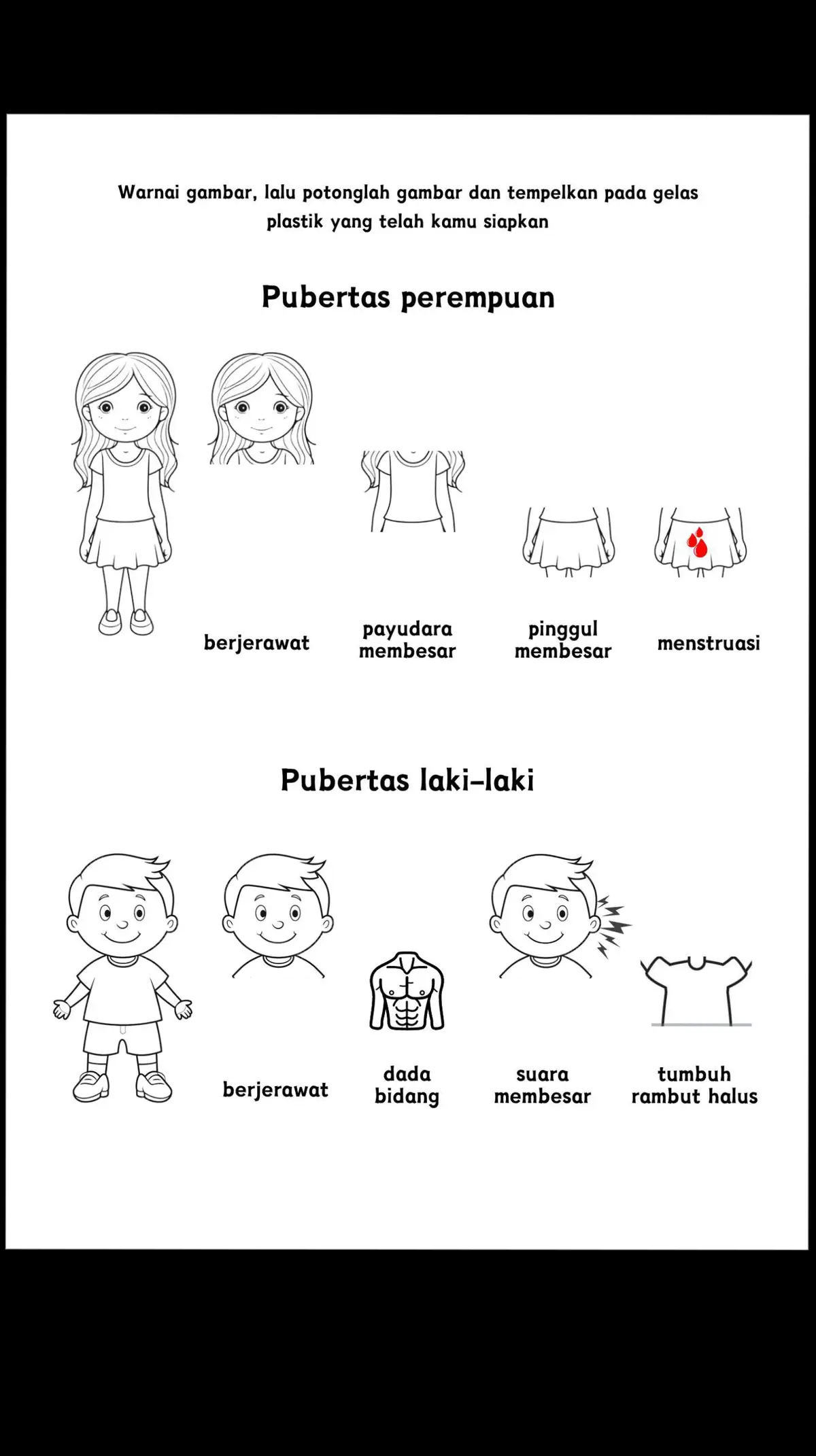 LKPD Gelas Pubertas materi IPA kelas 6 tema 6 #kurikulum2013 #ipasd #pubertas #kelas6 #materikelas6sd #media #gurusdhits #guruhits #gurukreatif #guruhebat #guruinspiratif #tiktokedukasi 