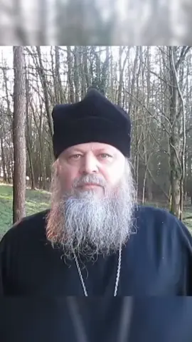 Father Spyridon talks about lust✝️  #fatherspyridon #christian #pastor #✝️ #lust #pray #motivation #emotional #christiantiktok 