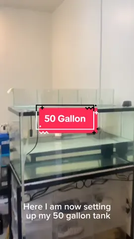 Soo close on finishing the 50 gallon tank!! #aquarium #goldfish #ranchu #fish #fishkeeper #fyp #foryou #foryoupage #arowana #50gallontank 