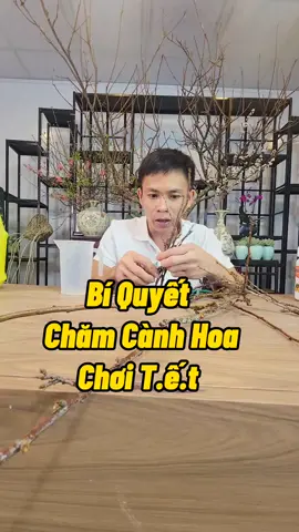Bí Quyết Giúp Cành Mận Nhanh Ra Hoa Và Lâu Tàn #namxelan90 #hoaman #camhoa #trongcay #lamvuon #nutrimix #nongdan 