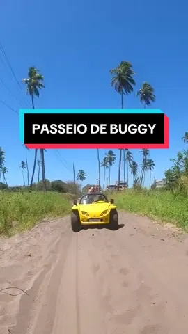 PASSEIO DE BUGGY - PORTO DE GALINHAS 🌴 Video @EntreFilhoseViagens #portodegalinhas #pernambuco #recife #praia #viajem #brasil 