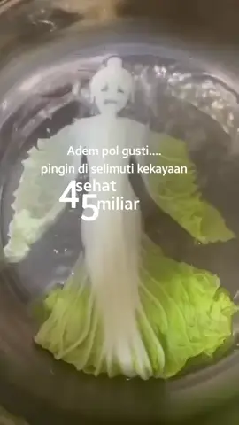 Daerahmu sedang banyak angin ngga teman-teman? Adeemeee!!! #sawi #sawiputih #jokes #lucu #funny #funnyvideos #memasak #cooking #garnis #garnish 