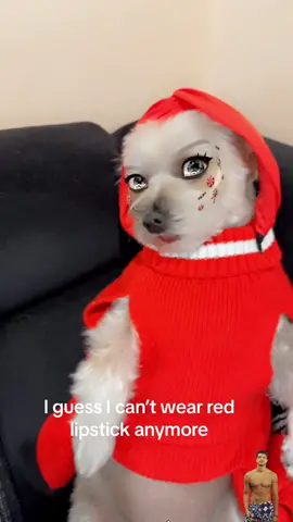 #dog#animal#funny#dog#fypシ 