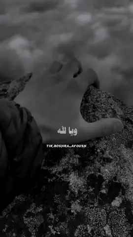 أمنيتك 🌸#tiktok #capcut #foryou #fypシ #k #لايك__explore___ #اكسبلور #تصميمي #سوريا_تركيا_العراق_السعودية_الكويت #الرفقه_الصالحه #فولو❤️ #انشيد #الجميع_ثابت 