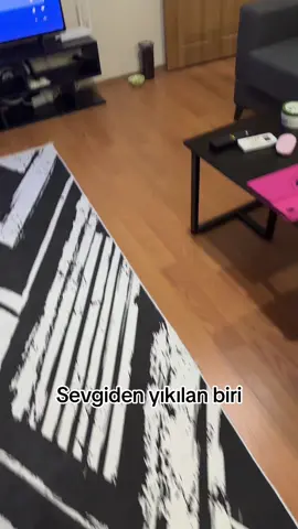 Sevgi furtunası #turşuhan #incittinneşesaçan 