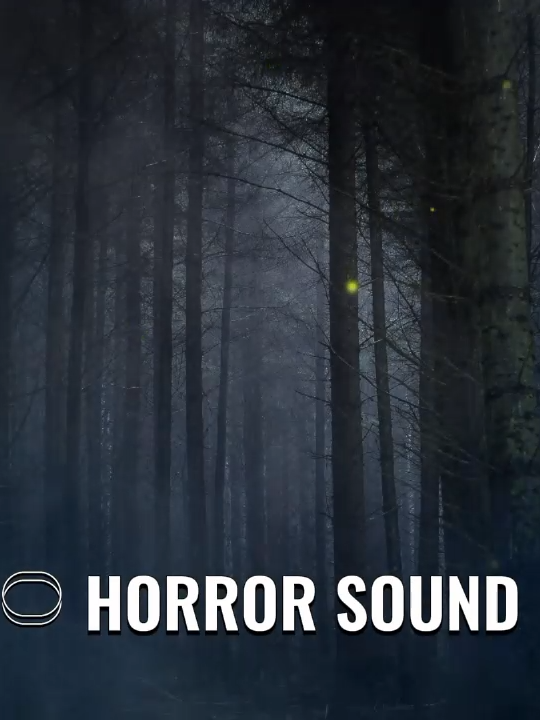Dark ambient  background music copyright free #horror #sound #darkambients #soundeffects #horrorsound #scary #creepy #forest #backgroundmusic
