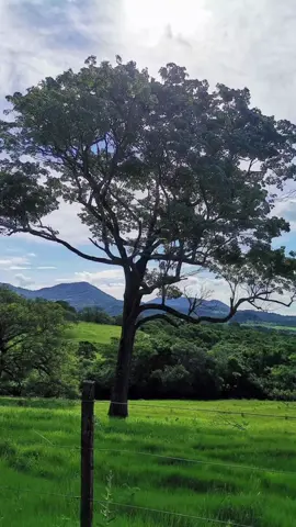 #Paraguay🇵🇾 #fypシ #ParaTi #Tropicales #Kchakas #Temazos #GrupoAlfa #Aliados 