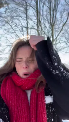 Wow wow wow #foryou #pourtoi #comedy #humor #goviral #snow 