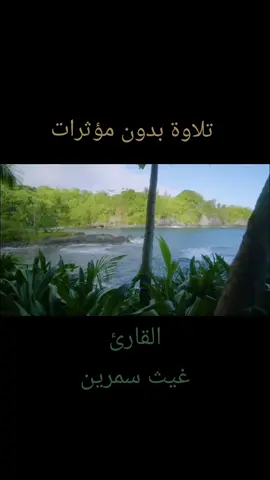 #تلاوة_بدون_صدى #تلاوة_خاشعة #السكينة_الطمأنينة #القرآن_الكريم #تلاوة_خاشعة_صوت_يدخل_قلب القارئ غيث سمرين