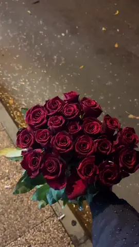 #ورد #ستوريات_انستا #اغاني