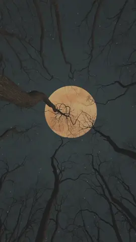 #فاذا_برق_البصر_وخسف_القمر ✨🌕🌞 #راحه_نفسيه🖤🎧  #عبد_الباسط_عبد_الصمد ✨🖤 #قران_كريم_ارح_سمعك_وقلبك  #الحنجره_الذهبيه  #foryou  #explore  #fyp @Islam Adel @Islam Adel @Islam Adel 