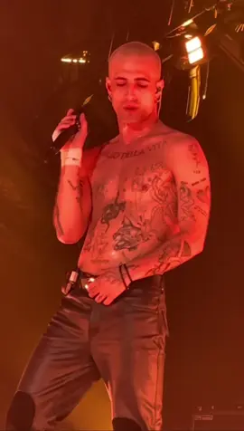 @Måneskin @MåneskinOfficialFanClub #concertmaneskin #maneskinofficiel #damianodavid #damianodavidmaneskin #maneskintiktok #milanomaneskin #maneskin #victoriadeangelis 