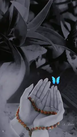 #CapCut #دعاء #دعاء_يريح_القلوب #دعاء_يريح_القلوب_ويطمئن_النفوس #حمزة_بوديب #اللهم_اشفي_مرضانا_ومرضى_المسلمين #🦋TALIA🦋 #اكسبلورexplore #foryou #foryourpage #viral #tiktok #trending #fypシ #islam 