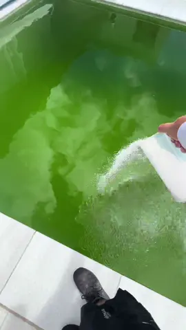 Green Pool Cleaning #fyp #cleaning #pool 