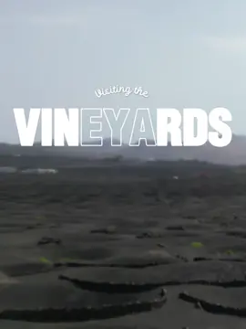 Have you ever seen the vineyards on the Canary Islands? More specifically, Lanzarote? These vineyards are unlike anything I've seen anywhere in the world! The ridged landscape of the volcanic soil of the Canary Islands with the harsh winds that blow through the islands, vineyards here need to have protection.  The roots of the vines go deep into the ground, and the vineyards are built in little craters, some with wind barrier walls to help protect the vines.  I dreamed about visiting these unique vineyards for years before I was able to finally check ✔️ another spot off the bucket 🪣 list!  Would you visit @visit.lanzarote for the unique wines and experiences offered here?  #lanzarote #canaryislands #canaryislandwine #lanzarotewine #spanishwine #winenerd #wineandtravel #wset2 #wineandfood #winelover #winetour #wineeducator #dji #djidrone 