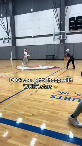 Wish i had more videos but this was a dope experience 🤩 #auntienae #WNBA #basketball #wbb 