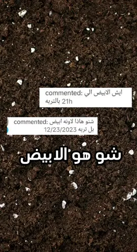 استخدموا البيرلايت بنسبة 10% كاضافة للاتربة ورح تلاحظوا فرق كبير ، معظم التربه الجاهزه للزراعة بكون مخلوط فيها بيرلات ولكن مع الاسف كمان بتم اضافة الفلين لهيك لازم تتاكدو من الجودة قبل ما تشتروها😇  كنتوا تعرفوا هاي المعلومات قبل؟  #زراعة #تربة #نباتات #بيرلايت #بيتموس