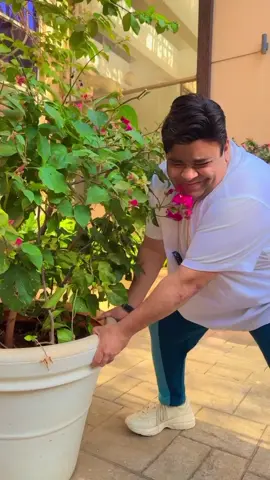 #kikusharda #kapilsarma #tiktokindia #funnyvideokikusharda #foryoupage #virelgo🤞🥀🌹😘😘tiktok💞💞 